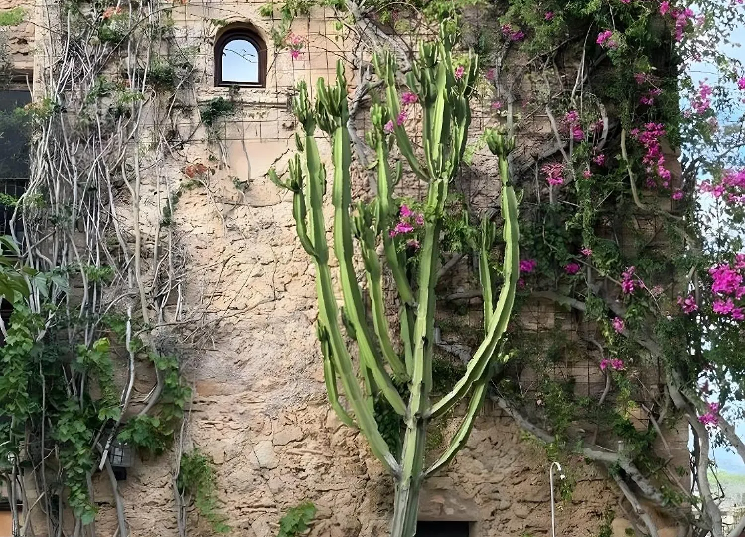 Finca Son Xona Капдепера